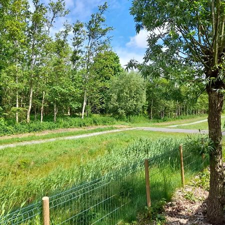Вілла Wellnesshuis Met Hottub, Ligbad En Grote Tuin Tzummarum Екстер'єр фото